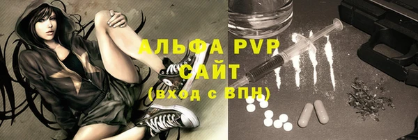 твердый Арсеньев