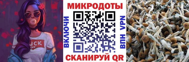 Галлюциногенные грибы Magic Shrooms  MEGA зеркало  Облучье 